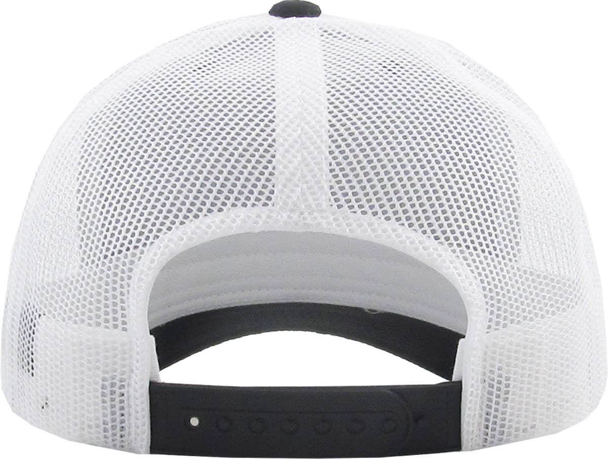CLASSIC 6 PANEL MESH BACK