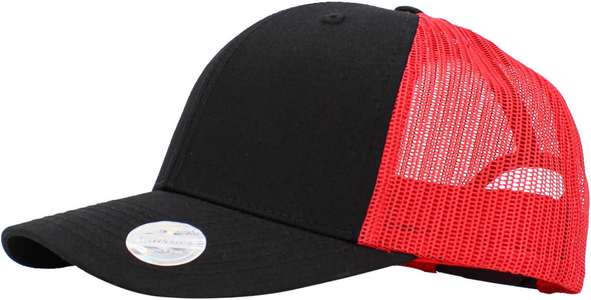 CLASSIC 6 PANEL MESH BACK