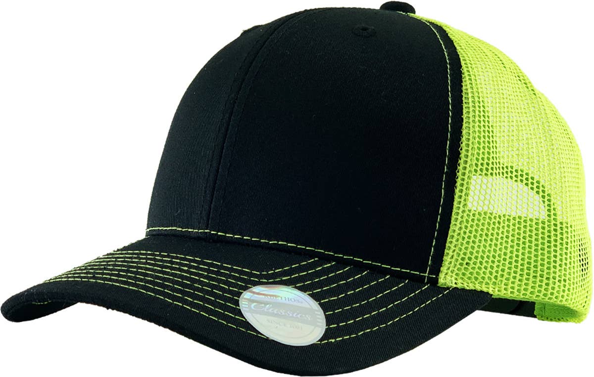 CLASSIC 6 PANEL MESH BACK